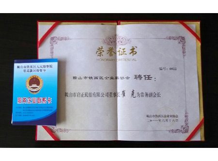 鐵西區(qū)企業(yè)家協(xié)會(huì)常務(wù)副會(huì)長(zhǎng)